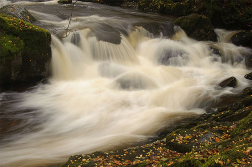 phongluudesign_hinh2