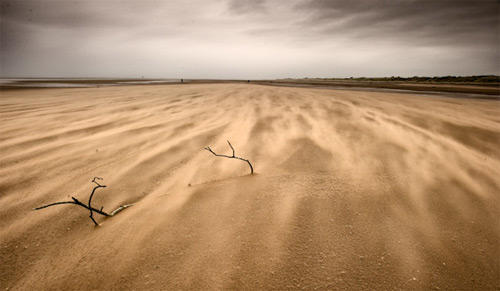 phongluudesign_hinh4