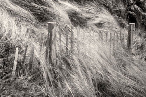 phongluudesign_hinh5