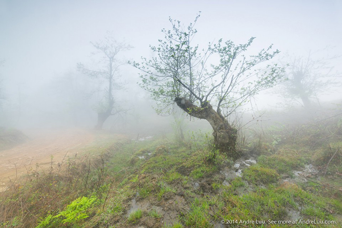 phongluudesign_kythuatp2.15