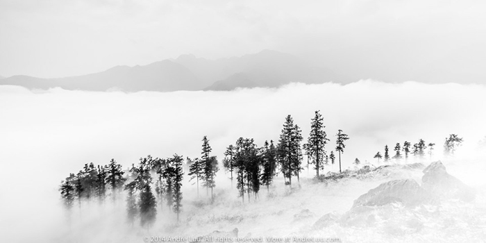 phongluudesign_kythuatp2.5