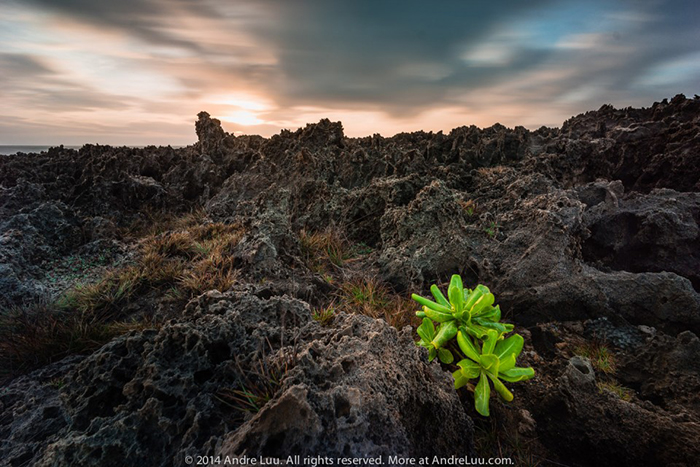 phongluudesign_kythuatp2.9